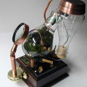 Terrarium - Lightbulb Terrarium by Steamed Glass