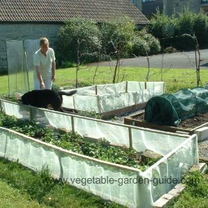 Building Raised Bed System