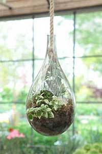Indoor Garden Design - Hanging Teardrop Terrarium