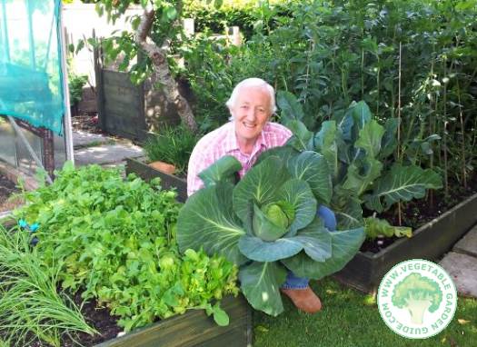 Laurence Ireland in vegetable garden